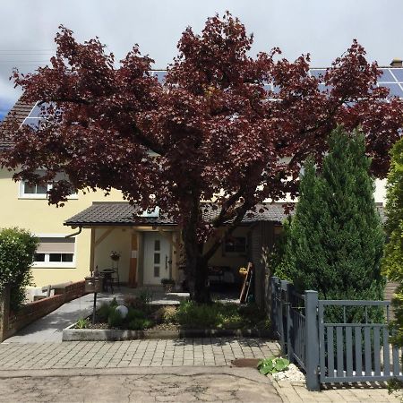 Apartmentvermietung Ingrid Bolkart - Voehlino 2 Illertissen Exteriér fotografie